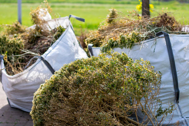 Best Construction Debris Removal  in Wrightwood, CA