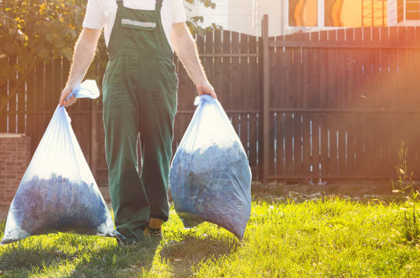 Best Yard Cleanup Services  in Wrightwood, CA